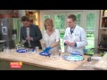 Science Experiments and Concepts