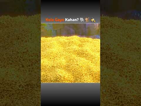 Kele Gaye Kahan? 🕵️‍♂️