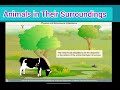 Animal Adaptations and Behaviors