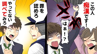 女「この人〇〇です！」警官「罪を認めた方がいいよ？」俺「やってない！調べてみろ！」→詳細に調べた結果ww