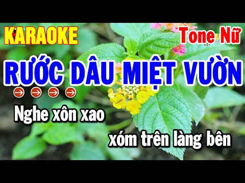 Karaoke Rước Dâu Miệt Vườn Tone Nữ | Nhạc Sống Cha Cha Dễ Hát 2025 | Thanh Hải