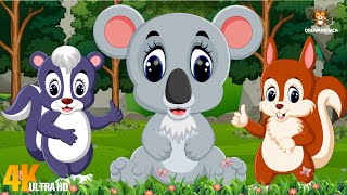 Animal Sounds Around Us: Skunk, Koala, Rhino, Squirrel, Owl, Cat, Polar bear – Animal Video