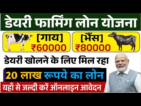 डेयरी फार्म के लिए लोन!!cove and buffalo 🦬🐃 loan