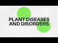 Understanding Plant Diseases and Symptoms