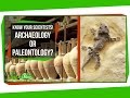 Understanding Archaeology and Paleontology