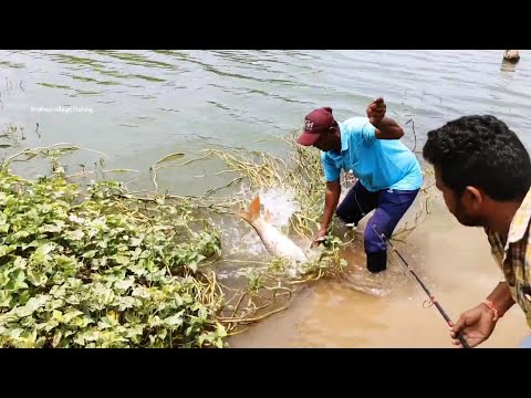 SINGLE HOOK 🎣FOLAT FISHING in KRISHNA RIVER BiG Rohu Fishes CATCHING..