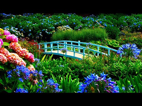10 hours Relaxing Soothing Music, AMAZING Beautiful Nature with Peaceful &nbsp;Music in 4k, by Tim Janis