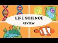 Biology Concepts and Relationships