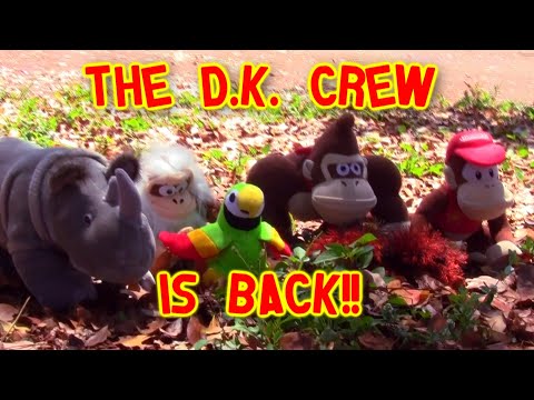 Donkey Kong Country: Flight of the Zingers Trailer