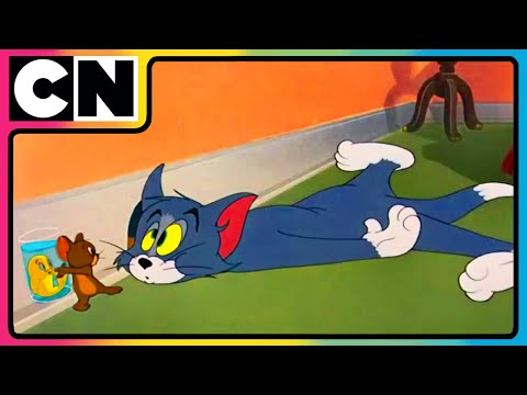 Tom and Jerry 😺🐭 | Goldie’s On The Menu! | #compilation | #cartoonforkids | @cnindia