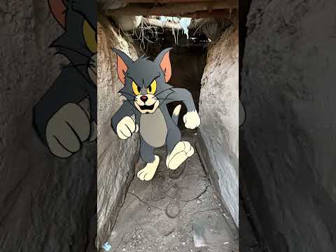 tom chasing jerrys