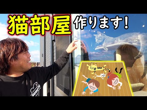 猫ちゃん達の為に大きな猫部屋作ります！！