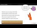 Variety in Writing Techniques