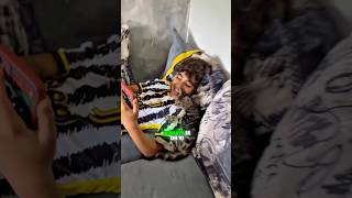 ⚠️Mini e la gattina! 👀#shortsvideo #shortvideo #shorts #short #viralvideo #reels #funny #memes #fyp