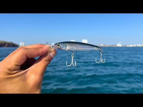 Pesca de Pargos Y Meros con Minnow Yo zuri