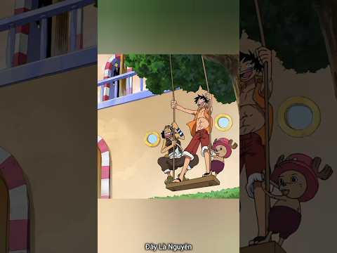 Sức mạnh hoạt hình của Luffy đang bị chỉ trích #onepiece #luffy #zoro