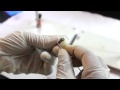 Chemical Reactions with Copper Sulphate