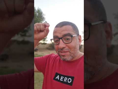 الملك تشارلز زعيم قبيلة الكلابوة 🐾 #معجنة_علمية