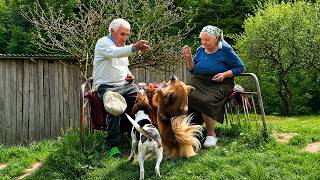 The Happiness of Growing Old Together. One Day in Life of an Elderly Couple in a Mountain Village