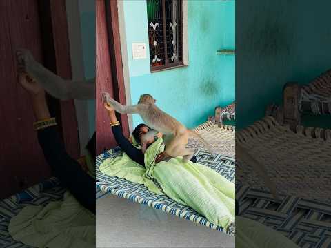 How chandu taking banana funny video ๐คฃ #monkeyclip #monkeychallenge #funnyclip