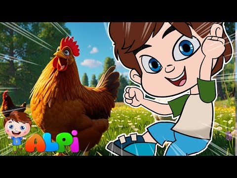 CİK CİK TAVUK - ÇOCUK VE BEBEK ŞARKILARI