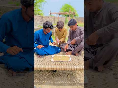 Biryani Main Zeher Kyu Dal Di? #teamdildarzia #funny #youtubeshorts