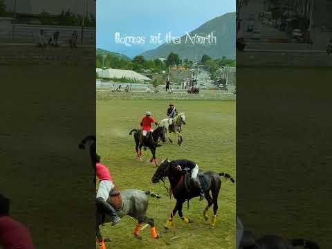 Freestyle polo Chitral| Youngest polo player| #polo #chitralpolo #poloseason #horselover #poloclub