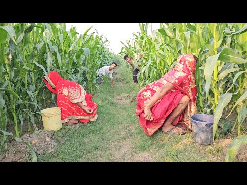 Amazing Nonstop comedy 😃 videos 2024 Best funny Entertainment comedy story