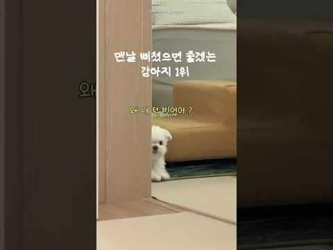 #삐돌이 #귀여워