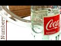 Understanding Klein Bottles and Dimensional Immersions