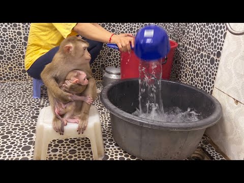 Judee TenderIy Huq & Care Tiniest Joyee For Morning Routine