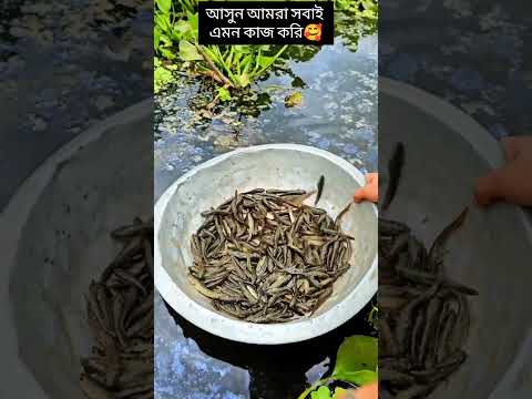 মানবতার ফেরিওয়ালা Noman Express Ltd.  🥰🤲 #trending