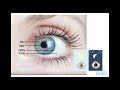 Exploring the Human Body: Systems and Senses
