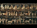 Sumerian History and Language Concepts