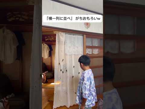 横一列に並べはおもしろすぎw #shorts