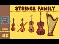 String Instruments in the Orchestra