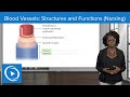 Blood Vessel Structure and Function