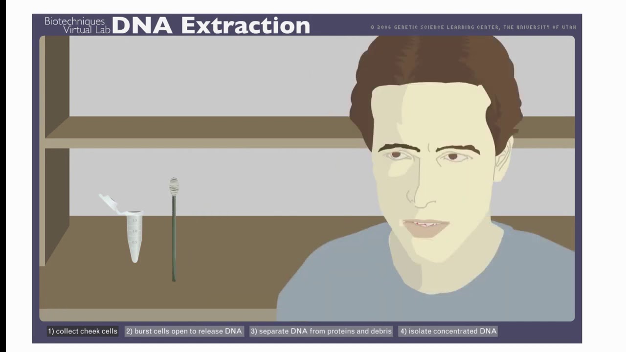 DNA Extraction Biotechniques Virtual Lab