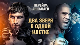 Главная Битва Этого Года! Анкалаев vs. Перейра - Кто Одержит Победу?!