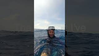 This Tuna was Around 20 Years Old