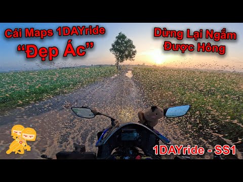 1DAYride - Đại Ngàn Cao Su #2 - Hành Trình Này Nó "Đẹp Điên" - Xe Ôm Vlog