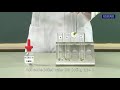 Preparation and Steps for Tube Experiment