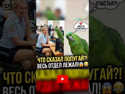 Попугай спросил про парня… и добил финалом 😅 #смешно #попугай