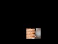 Understanding the Video Tutorial
