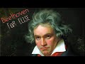 Musical Structure and Analysis