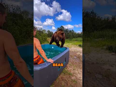 Bear in the pool