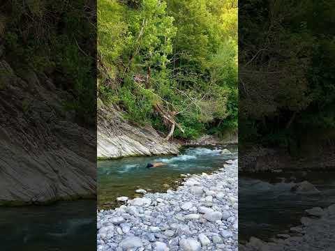 Mountain river ⛰️🌊 swimming #swimming #outdoors #shorts #adventure