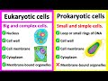 Differences Between Eukaryotic and Prokaryotic Cells