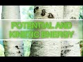 Kinetic and Potential Energy Concepts