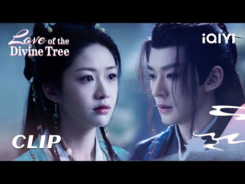 ❤️Cilp：Su Yishui & Ranran’s sweetness never stop | EP09-10 | Love of the Divine Tree | iQIYI Romance